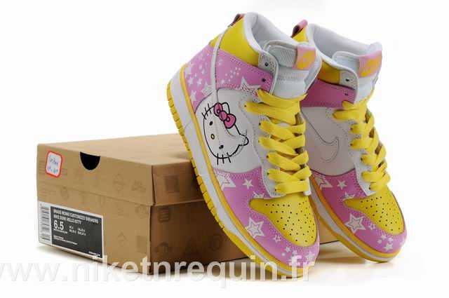 Acheter Nike Dunk SB (1)